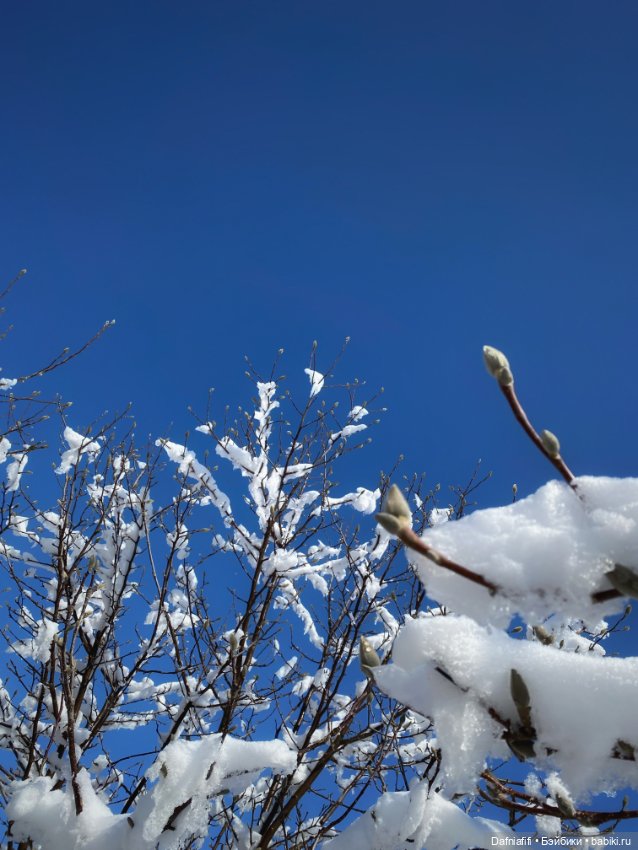 Мартовские зарисовки — Авторские куклы BJD (БЖД) у нас дома: фото (фото 4)