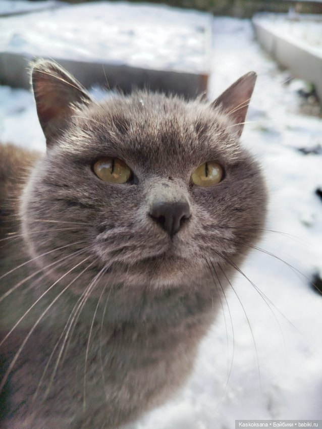 Весна, здравствуй! Зима, прощай (фото 6)