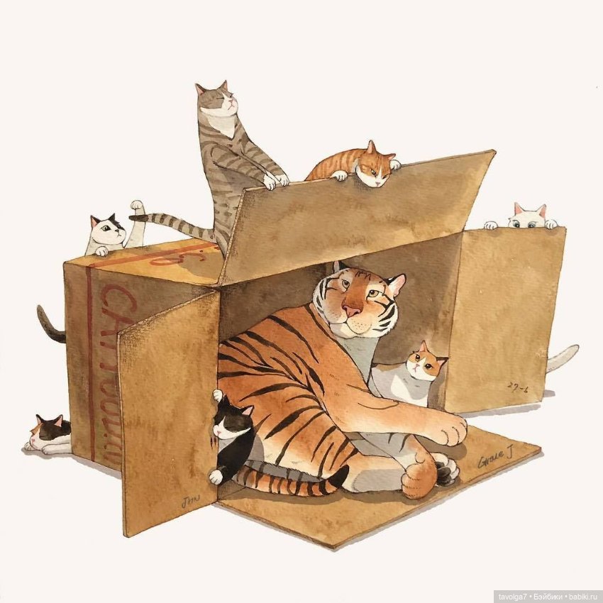 Tiger, tiger, burning bright