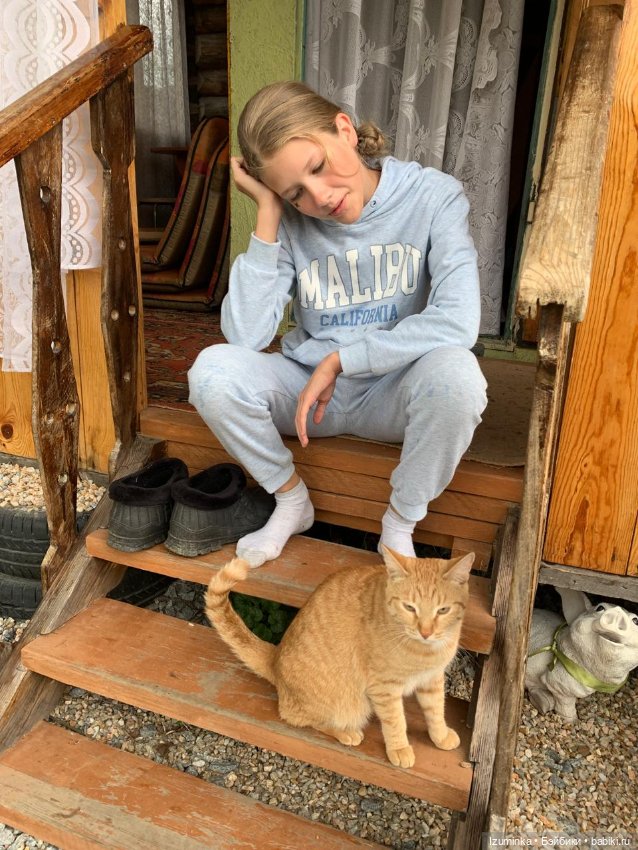 😸1 Марта - День Кошек — В мире животных: смешные фото питомцев и зверей (фото 6)