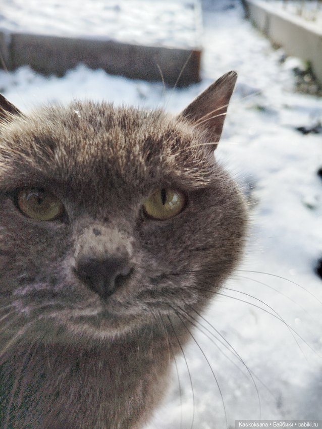 Весна, здравствуй! Зима, прощай (фото 5)