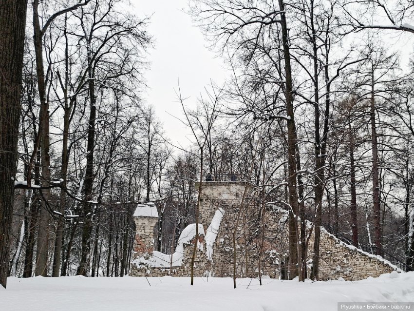 Белое безмолвие, руины и тайна (фото 7)