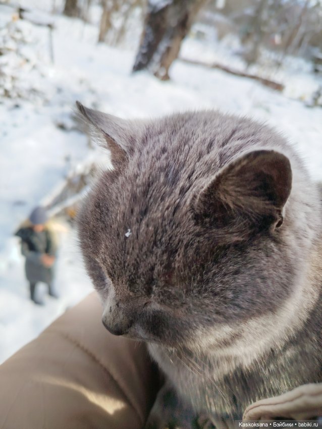 Весна, здравствуй! Зима, прощай (фото 7)