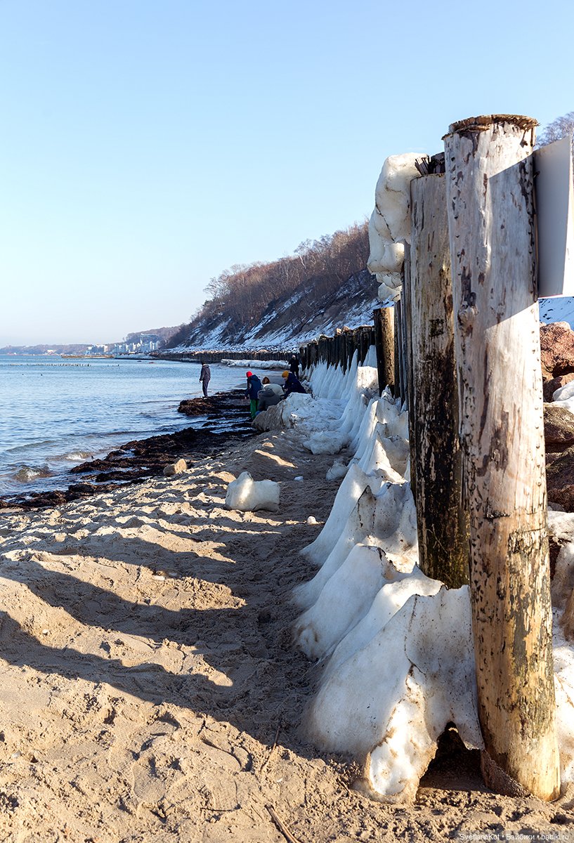 Элечка — Куклы Gabriele Muller (Габриэле Мюллер): немецкий фарфор