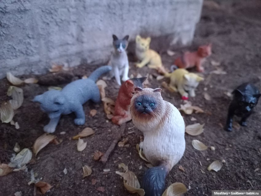 День кошек — Куклы Barbie (Барби): Looks