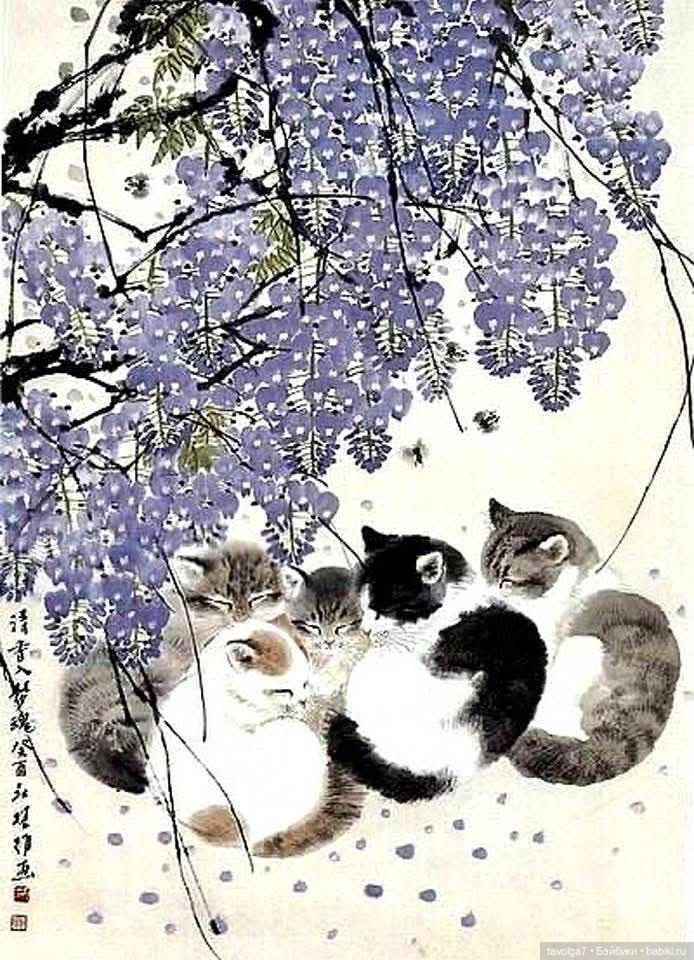 Tiger, tiger, burning bright (фото 8)