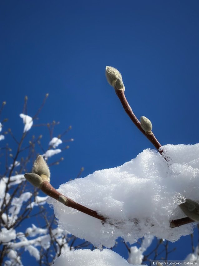 Мартовские зарисовки — Авторские куклы BJD (БЖД) у нас дома: фото (фото 3)