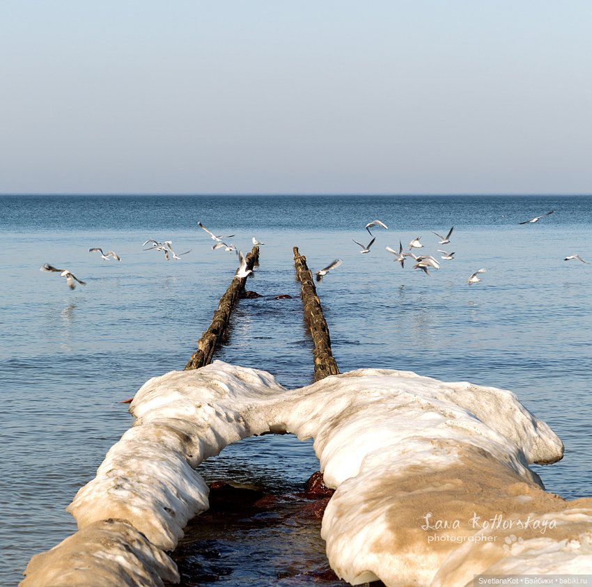 Элечка — Куклы Gabriele Muller (Габриэле Мюллер): немецкий фарфор (фото 8)