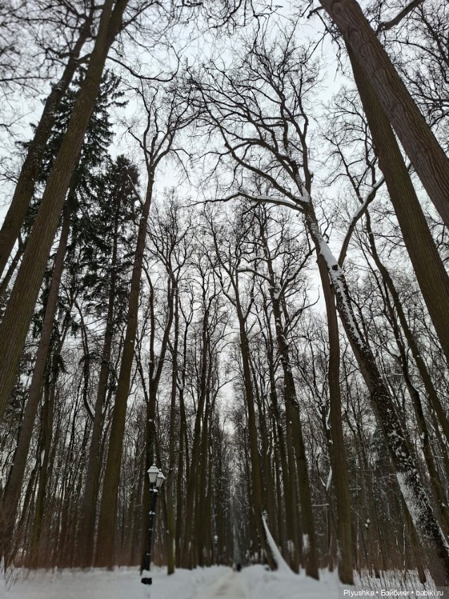 Белое безмолвие, руины и тайна (фото 3)