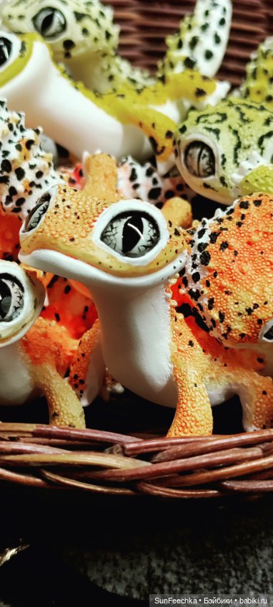 Ландо Норрис посетил зоо фест ЭКО