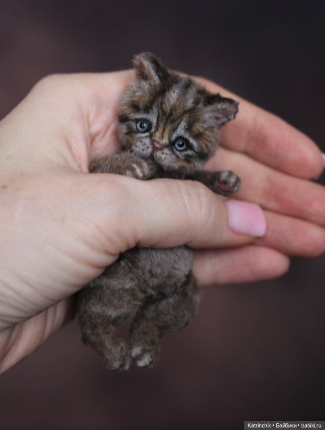 Котята Тедди — Авторские мишки Тедди и друзья: фото (фото 6)