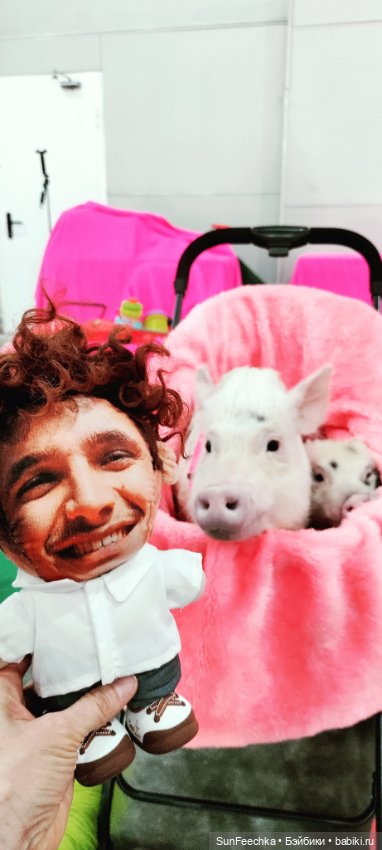 Ландо Норрис посетил зоо фест ЭКО