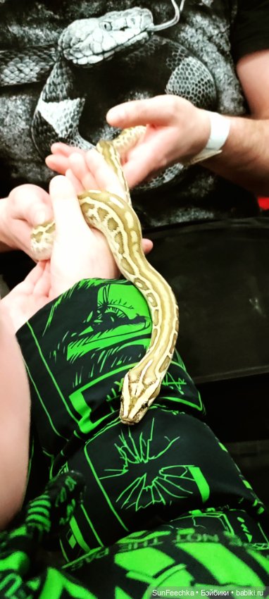 Ландо Норрис посетил зоо фест ЭКО (фото 8)