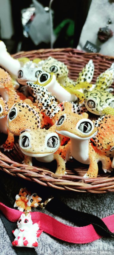 Ландо Норрис посетил зоо фест ЭКО