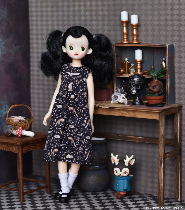 Фото-подборка: Ученицы-травницы (фото 2)