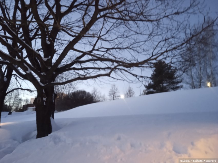 "Последние дни зимы вынашивали ..."