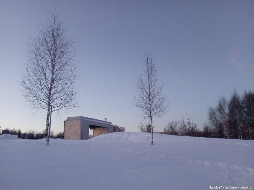 "Последние дни зимы вынашивали ..." (фото 4)