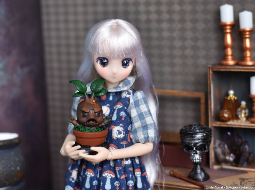 Фото-подборка: Ученицы-травницы