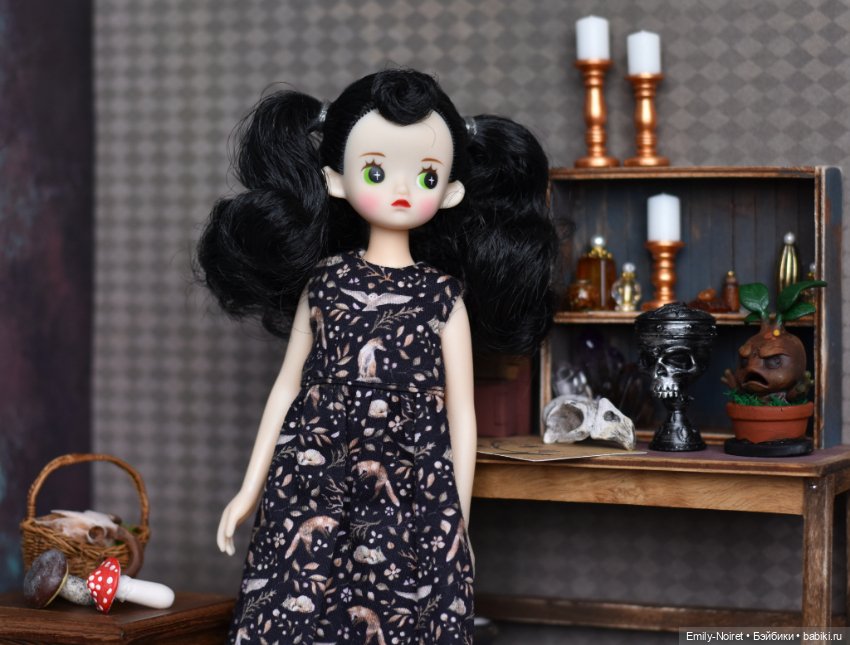 Фото-подборка: Ученицы-травницы (фото 3)