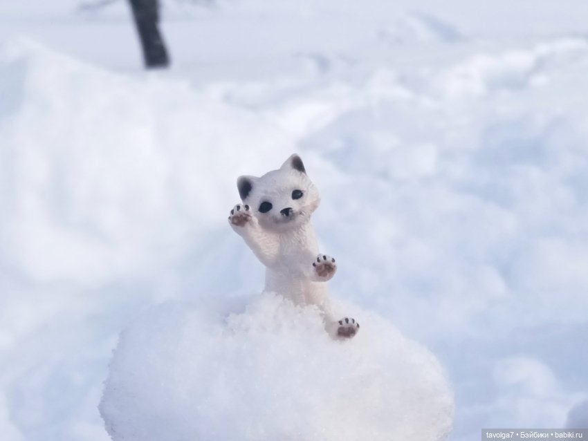 "Последние дни зимы вынашивали ..." (фото 3)