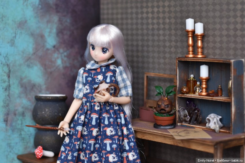 Фото-подборка: Ученицы-травницы