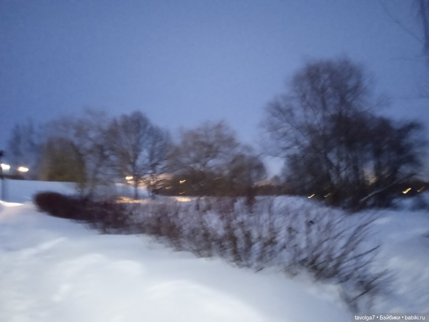 "Последние дни зимы вынашивали ..." (фото 10)