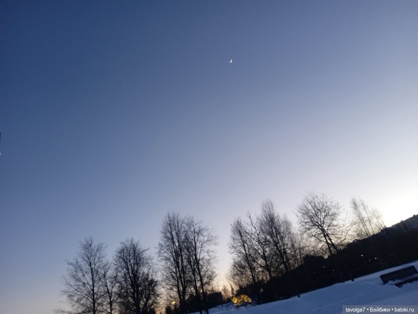 "Последние дни зимы вынашивали ..." (фото 8)