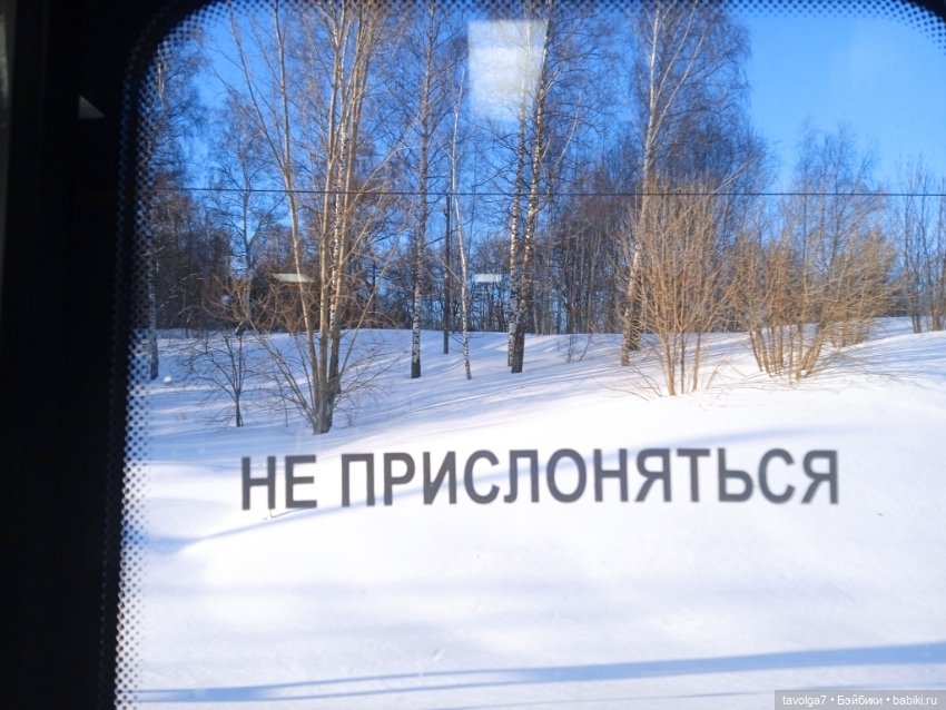 Бело-голубые оттенки зимы и начала весны (фото 2)