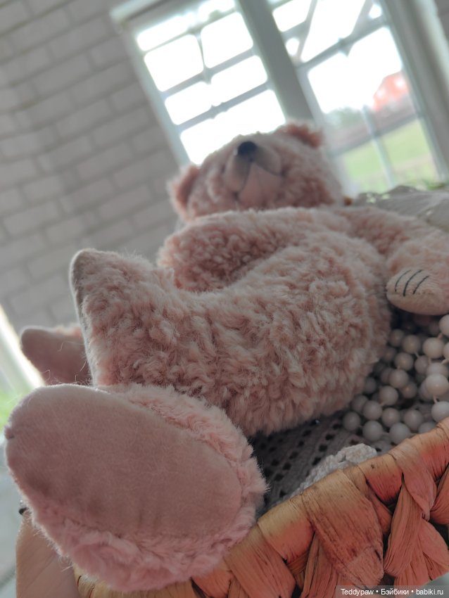 Просят, чтобы была девочка🐻 (фото 2)