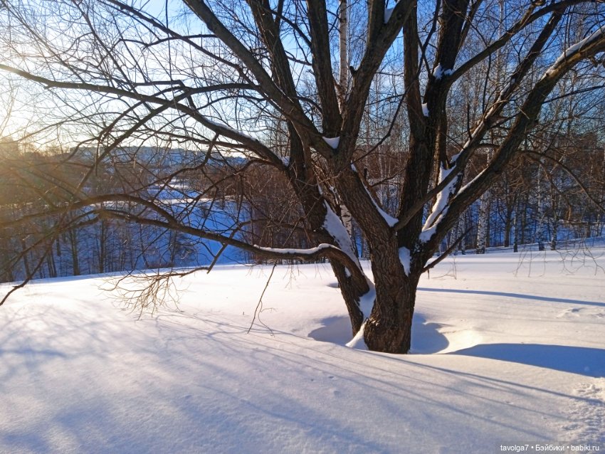 Бело-голубые оттенки зимы и начала весны (фото 7)