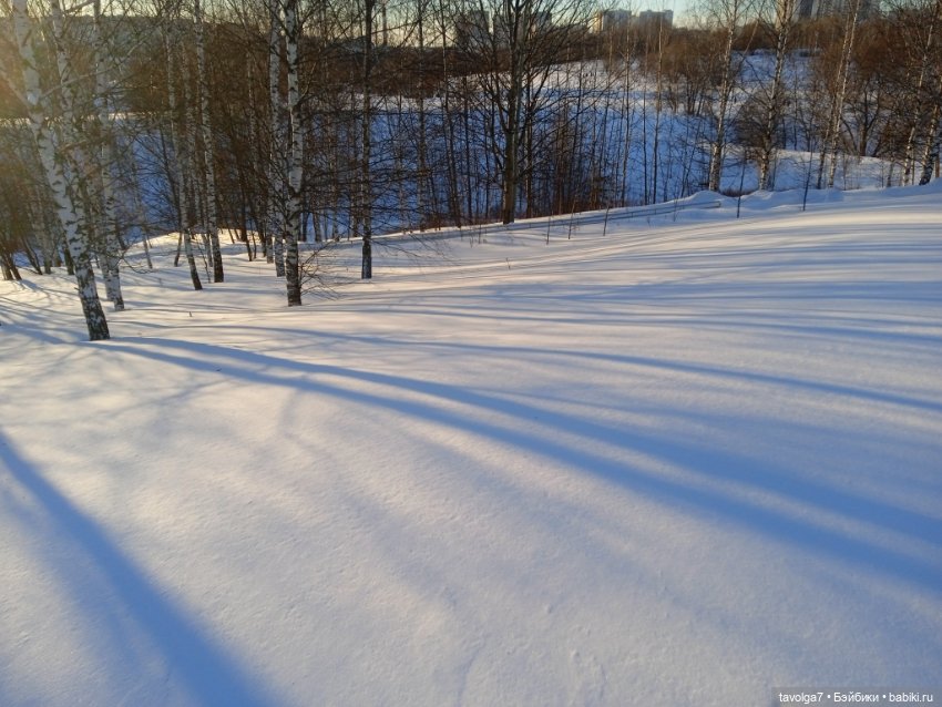 Бело-голубые оттенки зимы и начала весны (фото 9)