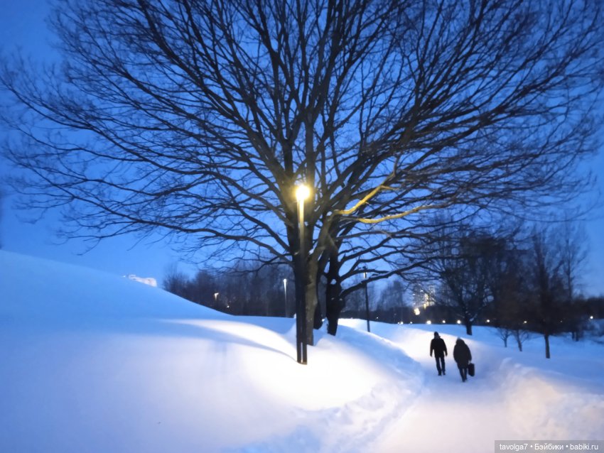 Бело-голубые оттенки зимы и начала весны