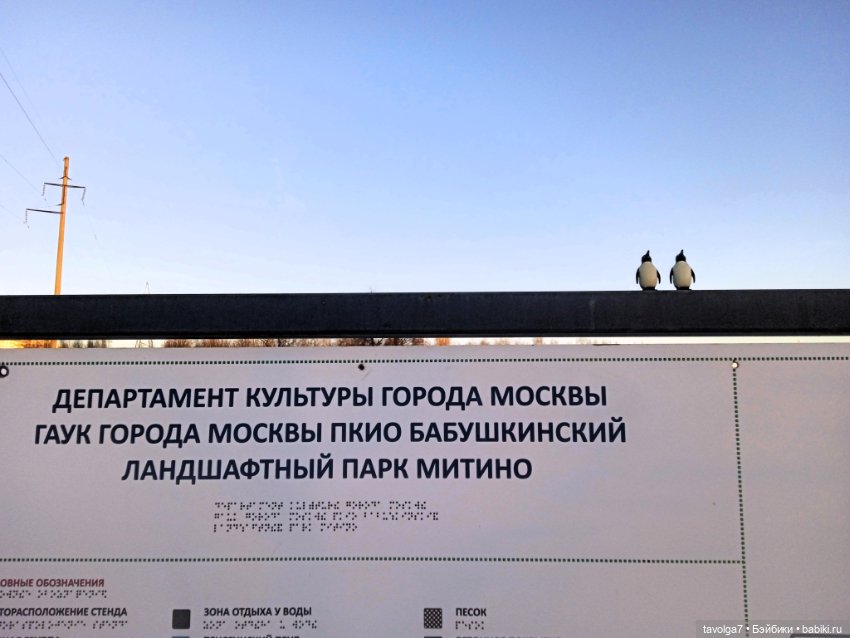 Бело-голубые оттенки зимы и начала весны