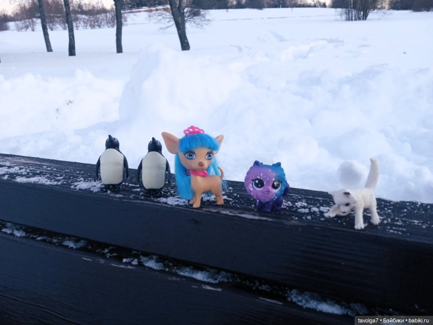 Бело-голубые оттенки зимы и начала весны