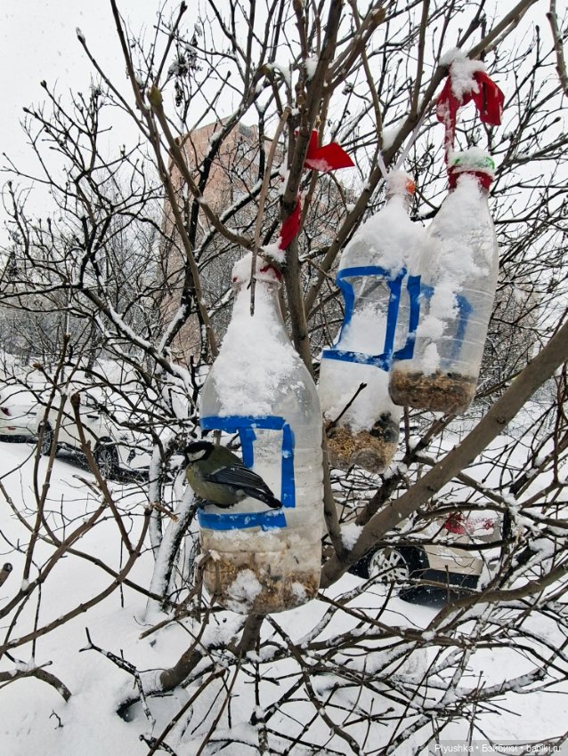Снова снегопад — Домашние фото авторских игрушек: Тедди