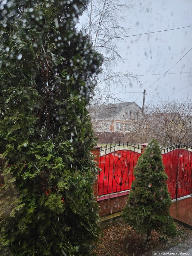 Рыжее солнышко и наш февраль (фото 7)