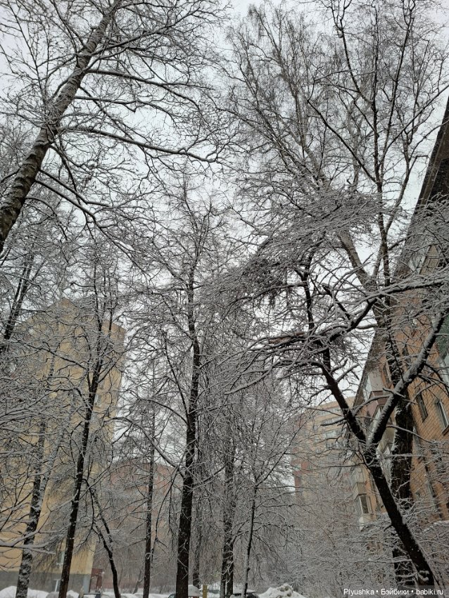 Снова снегопад — Домашние фото авторских игрушек: Тедди