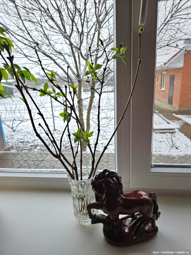 Рыжее солнышко и наш февраль (фото 10)