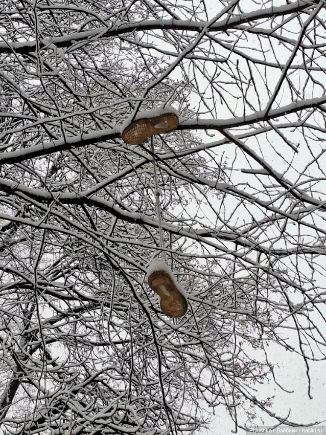 Снова снегопад — Домашние фото авторских игрушек: Тедди