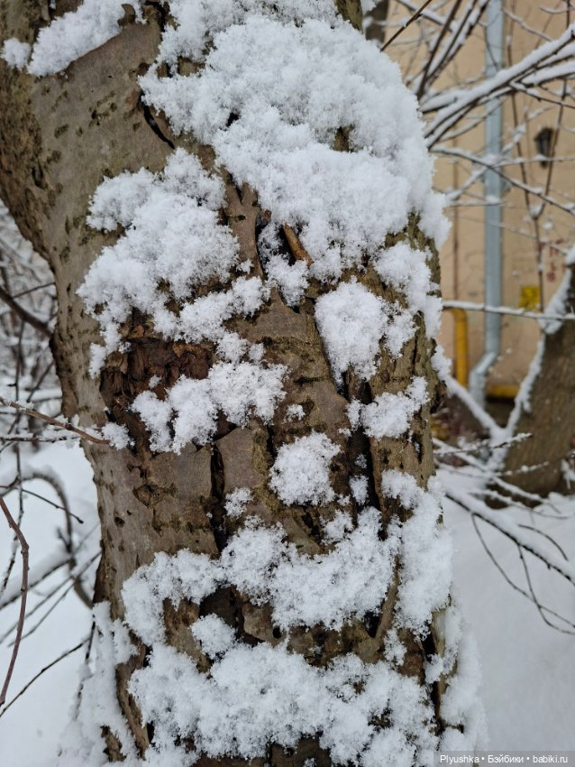 Снова снегопад — Домашние фото авторских игрушек: Тедди