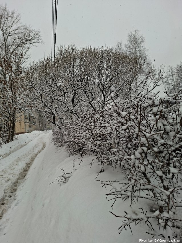 Снова снегопад — Домашние фото авторских игрушек: Тедди (фото 5)