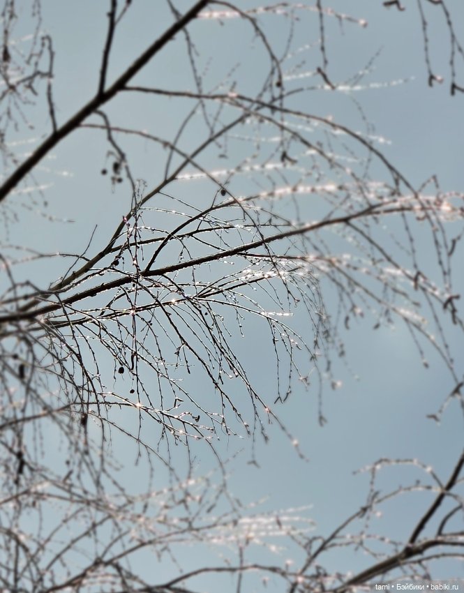 Рыжее солнышко и наш февраль