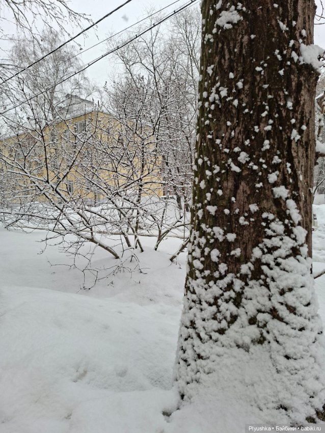 Снова снегопад — Домашние фото авторских игрушек: Тедди