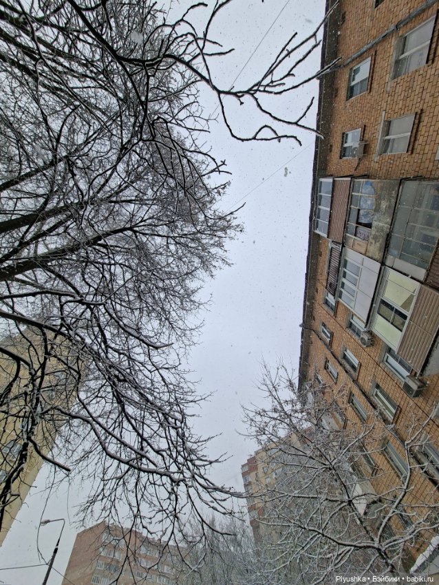 Снова снегопад — Домашние фото авторских игрушек: Тедди