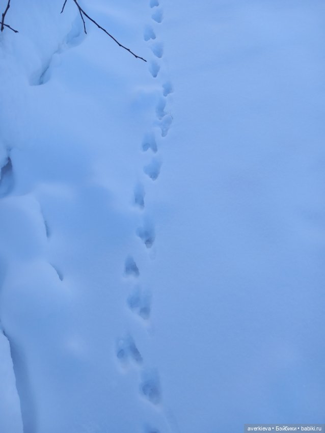 Сказка про Бабушку Агату. Глава 4. Подкидыш