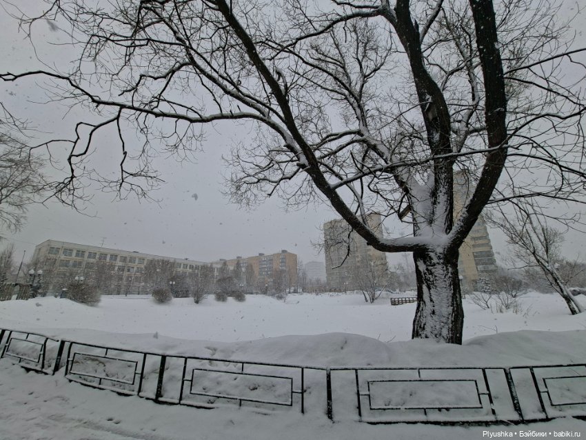 Снова снегопад — Домашние фото авторских игрушек: Тедди