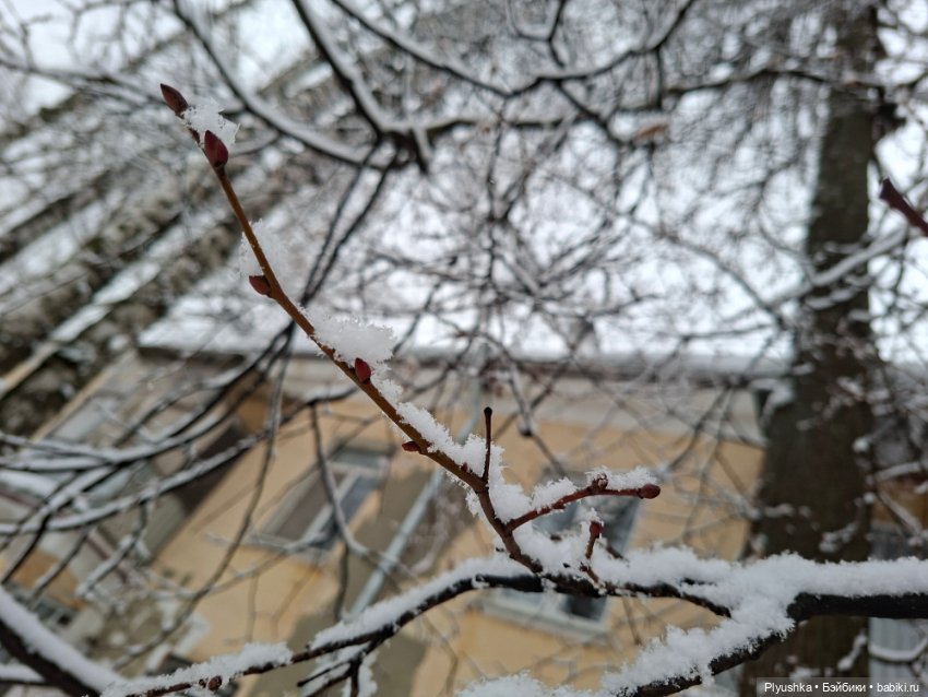 Снова снегопад — Домашние фото авторских игрушек: Тедди