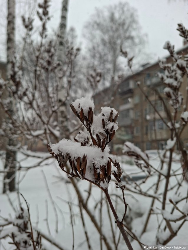 Снова снегопад — Домашние фото авторских игрушек: Тедди (фото 3)