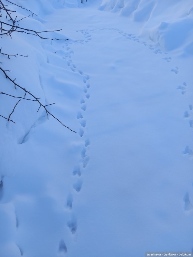 Сказка про Бабушку Агату. Глава 4. Подкидыш (фото 2)