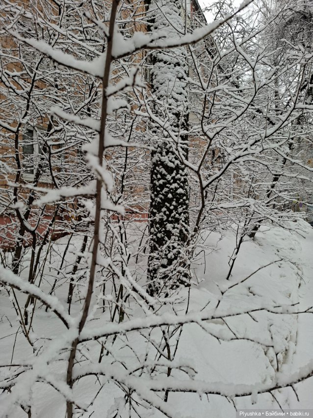 Снова снегопад — Домашние фото авторских игрушек: Тедди